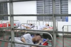 Điều trị cho các bệnh nhân mắc bệnh tâm thần. (Ảnh: PV/Vietnam+)