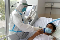 Nhân viên y tế chăm sóc cho bệnh nhân mắc COVID-19. (Ảnh: PV/Vietnam+)