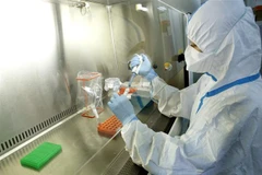 (Ảnh minh họa: TTXVN)