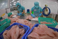 Chế biến cá tra phi lê xuất khẩu tại một nhà máy. (Ảnh: Vũ Sinh/TTXVN)