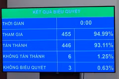 Quốc hội đã chính thức thông qua Luật sửa đổi, bổ sung một số điều của Luật Bảo hiểm y tế với tỷ lệ tán thành cao. (Ảnh: PV/Vietnam+)