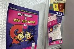 Dịch HIV/AIDS tập trung chủ yếu ở khu vực Đông Nam Bộ và Đồng bằng sông Cửu Long. (Ảnh: T.G/Vietnam+)