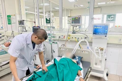 Bác sỹ theo dõi sức khỏe cho bệnh nhân. (Ảnh: PV/Vietnam+)