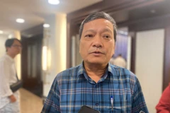 Tiến sỹ Đinh Văn Lượng - Giám đốc Bệnh viện Phổi Trung ương, Trưởng ban điều hành Dự án Phòng chống lao Việt Nam. (Ảnh: PV/Vietnam+)