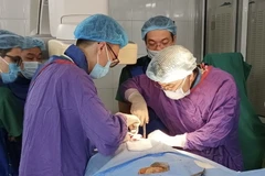 Các bác sỹ phẫu thuật cho bệnh nhân. (Ảnh: PV/Vietnam+)