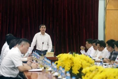 Thứ trưởng Bộ Y tế Trần Văn Thuấn phát biểu tại cuộc họp. (Ảnh: PV/Vietnam+)