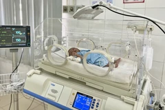 (Ảnh minh họa: TTXVN/Vietnam+)