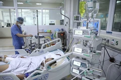 (Ảnh minh họa: TTXVN/Vietnam+)