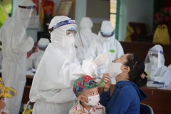 Lấy mẫu xét nghiệm COVID-19 cho người dân. (Ảnh: PV/Vietnam+)