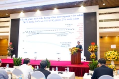 Phó giáo sư Nguyễn Bình Hòa - Phó Giám đốc Bệnh viện Phổi Trung ương, Phó Trưởng ban Điều hành Chương trình chống lao Quốc gia. (Ảnh: PV/Vietnam+)