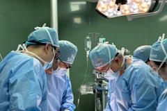 Đội ngũ y bác sĩ tham gia chương trình Phẫu thuật nụ cười miễn phí cho trẻ em Việt Nam dị tật hàm mặt tại Quảng Trị. (Ảnh: PV/Vietnam+)
