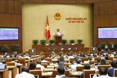Quốc hội biểu quyết thông qua các Luật sửa đổi, bổ sung. (Ảnh: Doãn Tấn/TTXVN)