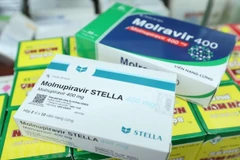 Một loại thuốc điều trị COVID-19 sản xuất trong nước chứa hoạt chất Molnupiravir. (Ảnh: TTXVN/Vietnam+)