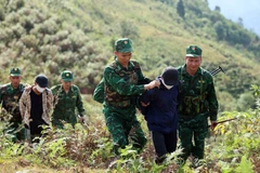 Lực lượng chức năng khống chế, bắt giữ các đối tượng vận chuyển, buôn bán trái phép chất ma túy. (Ảnh: An Đăng/TTXVN)