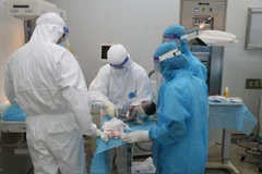 Các bác sỹ mổ cấp cứu cho bệnh nhân. (Ảnh: PV/Vietnam+)