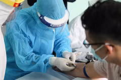 (Ảnh: TTXVN/Vietnam+)
