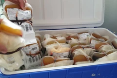 Việc sử dụng huyết tương người điều trị khỏi bệnh COVID-19 cần được xem xét, đánh giá như một liệu pháp mới có tiềm năng. (Ảnh: T.G/Vietnam+)