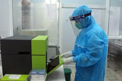 (Ảnh: Quang Cường/TTXVN)