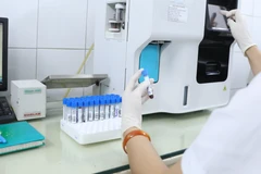 Ảnh minh họa. (Ảnh: PV/Vietnam+)