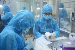 Nhân viên y tế tại Đà Nẵng kiểm tra các mẫu xét nghiệm. (Ảnh: Văn Dũng/TTXVN)