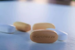 (Ảnh minh họa. Ảnh: IndiaTimes)