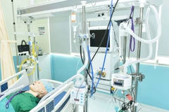 Máy oxy dòng cao ký hiệu BKVM-HF1. (Ảnh: PV/Vietnam+)