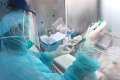 Lấy mẫu xét nghiệm virus SARS-CoV-2. (Ảnh: TTXVN/Vietnam+)