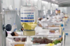 Điều trị cho bệnh nhân mắc COVID-19. (Ảnh: PV/Vietnam+)