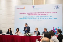 Các chuyên gia thảo luận tại hội nghị. (Ảnh: PV/Vietnam+)