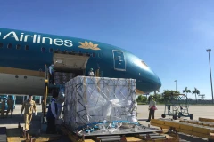 500.000 liều vaccine Vero-Cell của Sinopharm đã về đến Sân bay Quốc tế Nội Bài. (Ảnh: PV/Vietnam+)