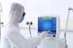 (Ảnh: PV/Vietnam+)