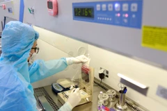 Chuyên ngành huyết học-truyền máu với những bước tiến vượt bậc được đánh giá cao. (Ảnh: PV/Vietnam+)