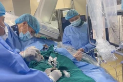 Bệnh nhân được các bác sỹ can thiệp thay van trong van qua đường ống thông. (Ảnh: PV/Vietnam+)