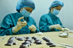 Lấy mẫu huyết thanh của chuột đã tiêm dự tuyển vắcxin COVID-19. (Ảnh: Minh Quyết/Vietnam+)