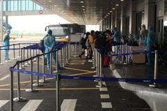 Sáng 25/3, chuyến bay VN36 hạ cánh, chở 132 khách Việt Nam và 1 khách nước ngoài. (Ảnh: PV/Vietnam+)