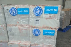 Số vaccine được WHO và UNICEF hỗ trợ khẩn cấp cho Bộ Y tế nhằm khắc phục tình trạng giảm tỷ lệ tiêm chủng và thiếu vaccine 5 trong 1. (Ảnh: PV/Vietnam+)