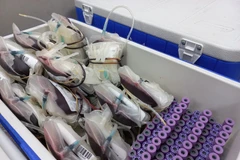 Nguồn máu từ những người hiến máu nhân đạo. (Ảnh: T.G/Vietnam+)