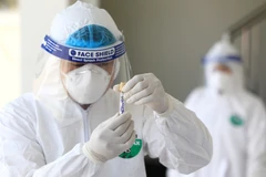 (Ảnh: TTXVN/Vietnam+)