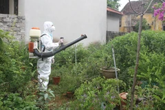 Cán bộ y tế phun thuốc chống dịch sốt xuất huyết. (Ảnh: TTXVN/Vietnam+)
