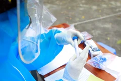 (Ảnh minh họa: TTXVN/Vietnam+)