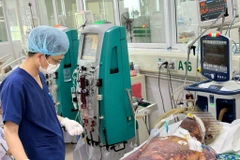 Bác sĩ theo dõi sức khỏe cho bệnh nhân. (Ảnh: PV/Vietnam+)