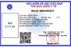 Mẫu thẻ bảo hiểm y tế mới. (Ảnh: PV/Vietnam+)