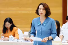 Thứ trưởng Bộ Y tế Nguyễn Thị Liên Hương trả lời tại cuộc họp. (Ảnh: Minh Đức/TTXVN)