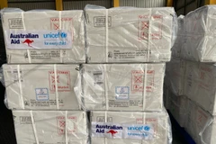 Việt Nam nhận được 490.600 liều vaccine 5 trong 1 từ hỗ trợ của Chính phủ Australia. (Ảnh: PV/Vietnam+)