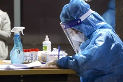 Nhân viên y tế làm công tác xét nghiệm. (Ảnh: TTXVN/Vietnam+)