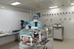 Vấn đề vô sinh hiếm muộn đang là gánh nặng trong lĩnh vực sản phụ khoa của Việt Nam. (Ảnh: PV/Vietnam+)