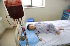 Trẻ mắc bệnh thalassemia điều trị tại Viện Huyết học-Truyền máu Trung ương. (Ảnh: PV/Vietnam+)