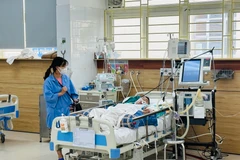 Bệnh nhân điều trị tại Trung tâm Chống độc (Bệnh viện Bạch Mai). (Ảnh: Thùy Giang/Vietnam+)
