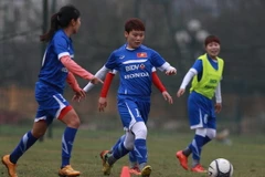 Tuyển nữ Việt Nam sẽ đối mặt với Nhật Bản, Hàn Quốc, Australia, Trung Quốc và Triều Tiên tại vòng loại cuối Olympic Rio 2016. (Ảnh: Đỗ Đen/Vietnam+)