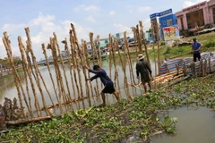 Đắp đập thời vụ ngăn mặn tại huyện Vị Thủy, Hậu Giang. (Ảnh: Duy Khương/TTXVN)